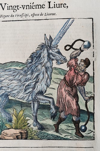 Licorne unicorn elephant - /,