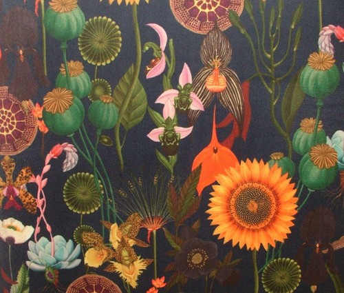 Fantaisie tournesol bleu - tournesol,