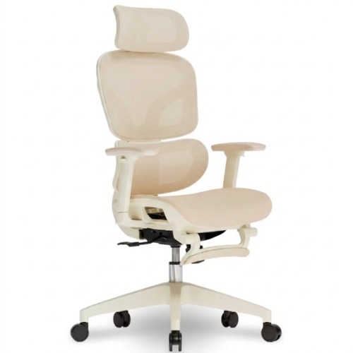 Chaise bureau ergonomique - de,
