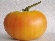 Dagma's Perfection Tomato - 5+ Seeds - Seeds - Graines - HONEY SWEET GIANT! P 149