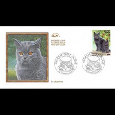 CEF - Les chats - Le chartreux