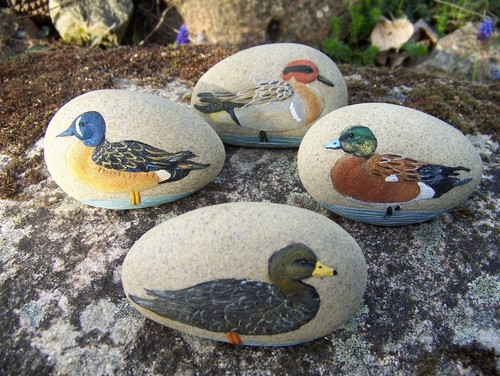 61862 original canard en - 61862,