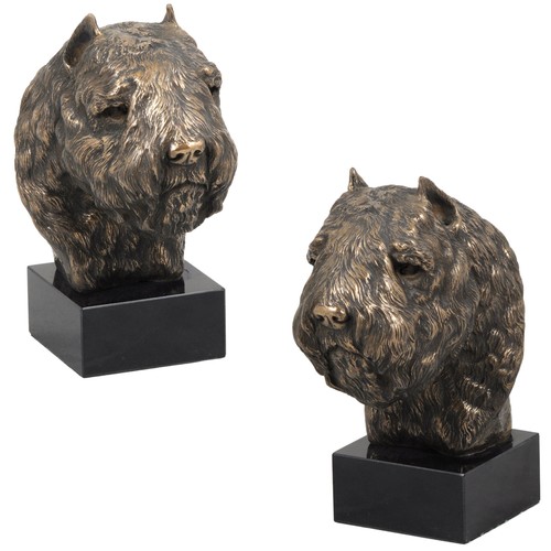 Bouvier des flandres - des,