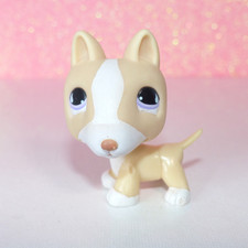 authentic littlest LPS petshop 860 dog dog pit bull terrier pet shop hasbro