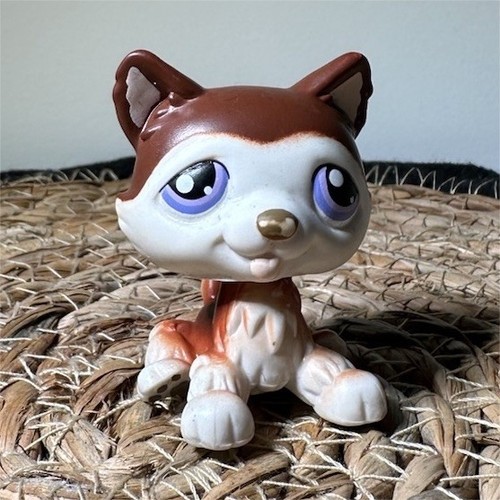 Lps littlest pet shop chien - -,