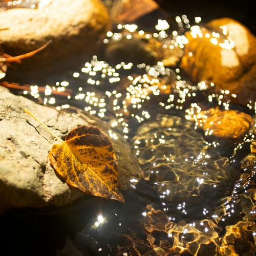 Guirlande lumineuse led - lumineuse,