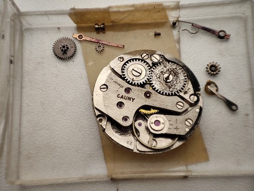 Fhf watch movement cauny - fhf,