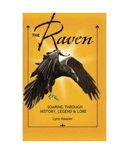 The Raven: Soaring Through