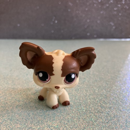 Authentic littlest petshop - authentic,