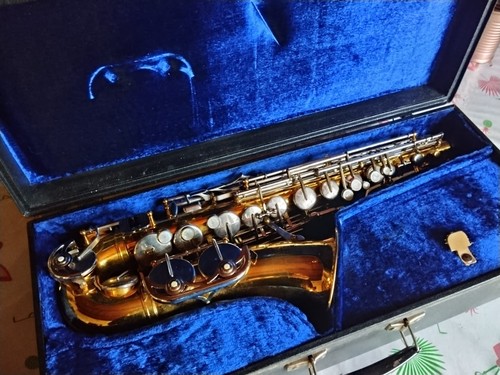 Saxophone alto solist - alto,