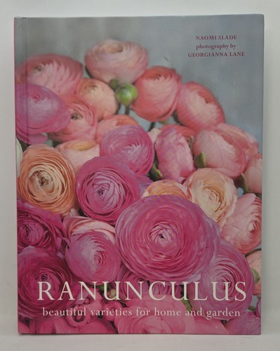 Ranunculus beautiful - ranunculus:,