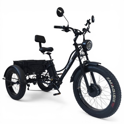Tricycle fatbike vélo cargo - e,