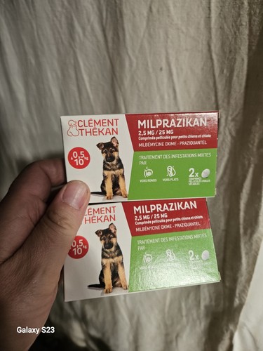 Clément thékan milprazikan - clément,