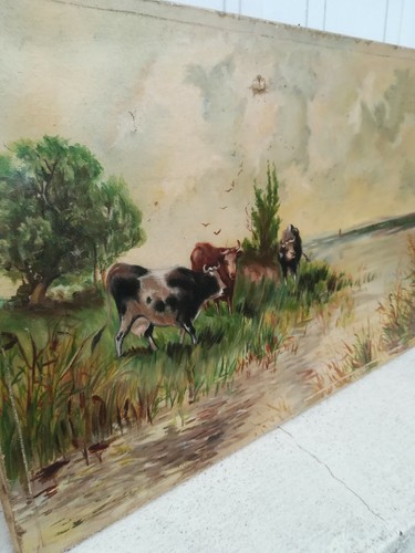 Huile toile paysage vache - huile, s/toile