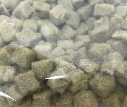 Grodan cubes laine roche - cubes, en