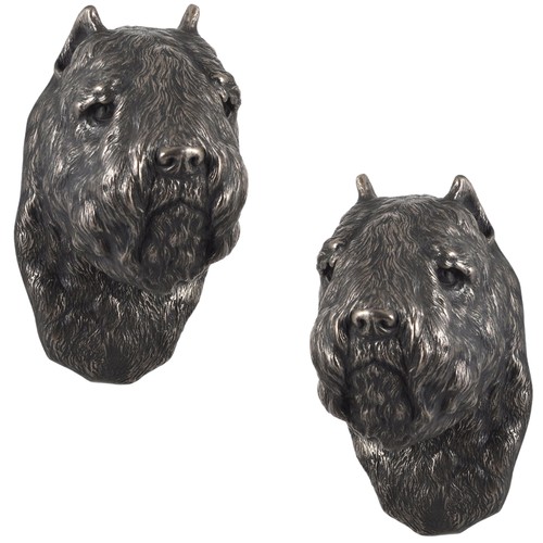 Bouvier des flandres - bouvier, une