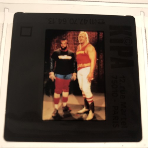 Mister hulk hogan - t,