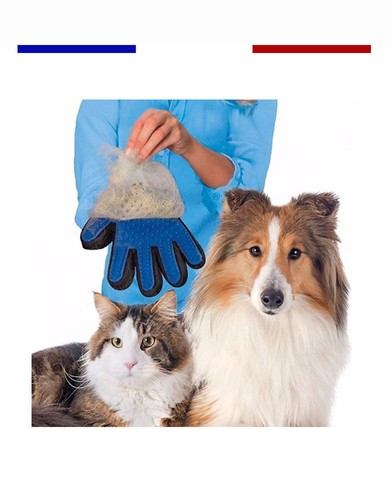 Gant brosse chien chat - gant,