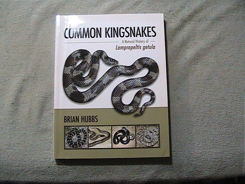 Common kingsnakes natural - kingsnakes,