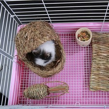 2x Perroquet Fournit Une