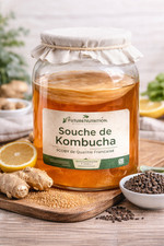 Souche de kombucha