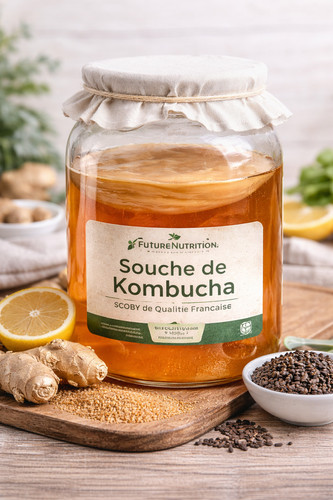 Souche kombucha - souche, de