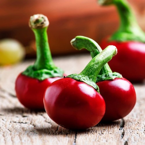 Lot graines de piment - lot,