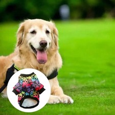  Déguisement Chien Costume