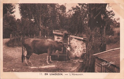 Limousin l abreuvoir - en, l'abreuvoir