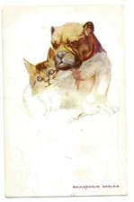 Bouledogue Anglais et chat