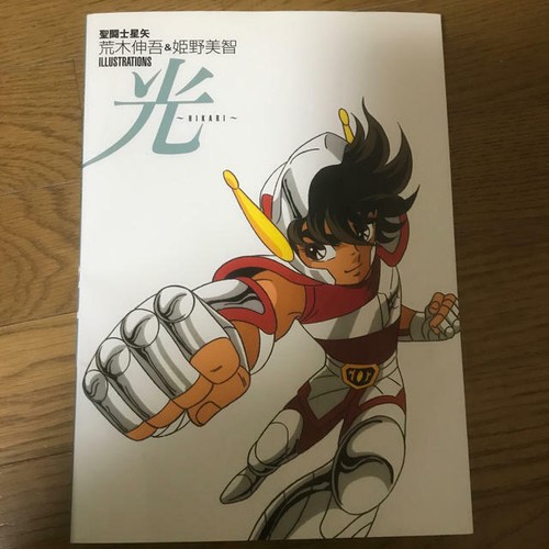 Saint seiya hikari - saint,