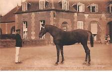 61 - HARAS DU PIN - SAN30798 - "Interlude" French trotter by "Bémécour