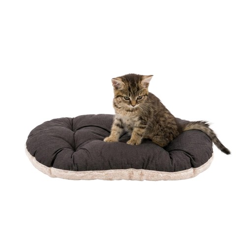 Panier chat trés - chat, petite