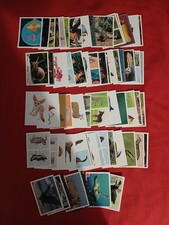 Lot 67 Images Panini Animaux