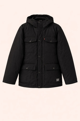 Parka levi arctic cloth - parka, levi's