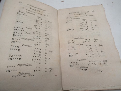 Lexicon hebraïcum contractum - lexicon,
