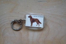 Porte-clés Chien Setter