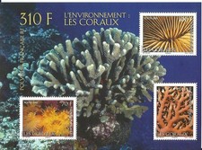 POLYNÉSIE   FAUNE MARINE
