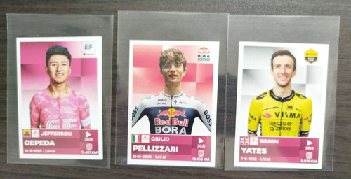 Lot vignettes panini - 3,