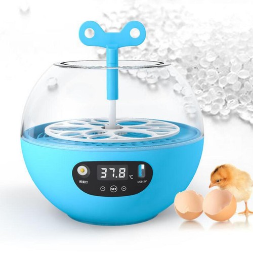 Mini oeufs couveuse - , de