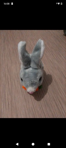 Lapin enfants - lapin,