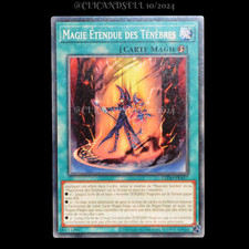 carte YU-GI-OH! Magie Étendue