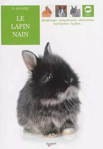 Lapin nain gianni ravazzi - lapin, nain,