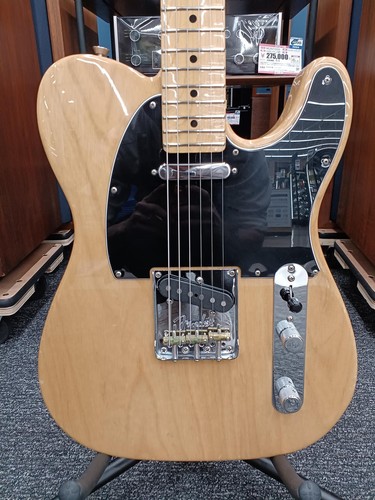 American professional - (fender),