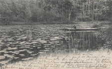 92 RUEIL ETANG - 59039