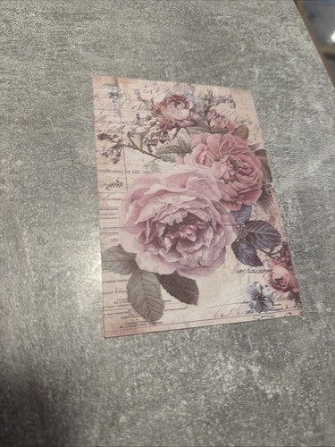 Feuille papier scrapbooking - feuille,