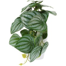  Faux Plante En Pot Bonsaï