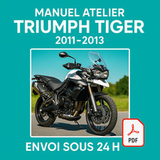 Manuel Atelier Triumph Tiger