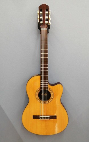 Guitare acoustique électrique