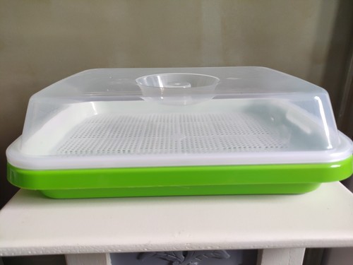 Plateau germination pour - plateau,